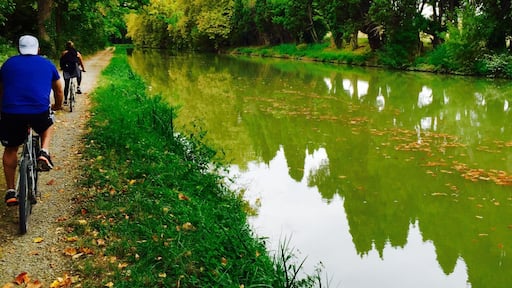 Canal du midi, Southern France.