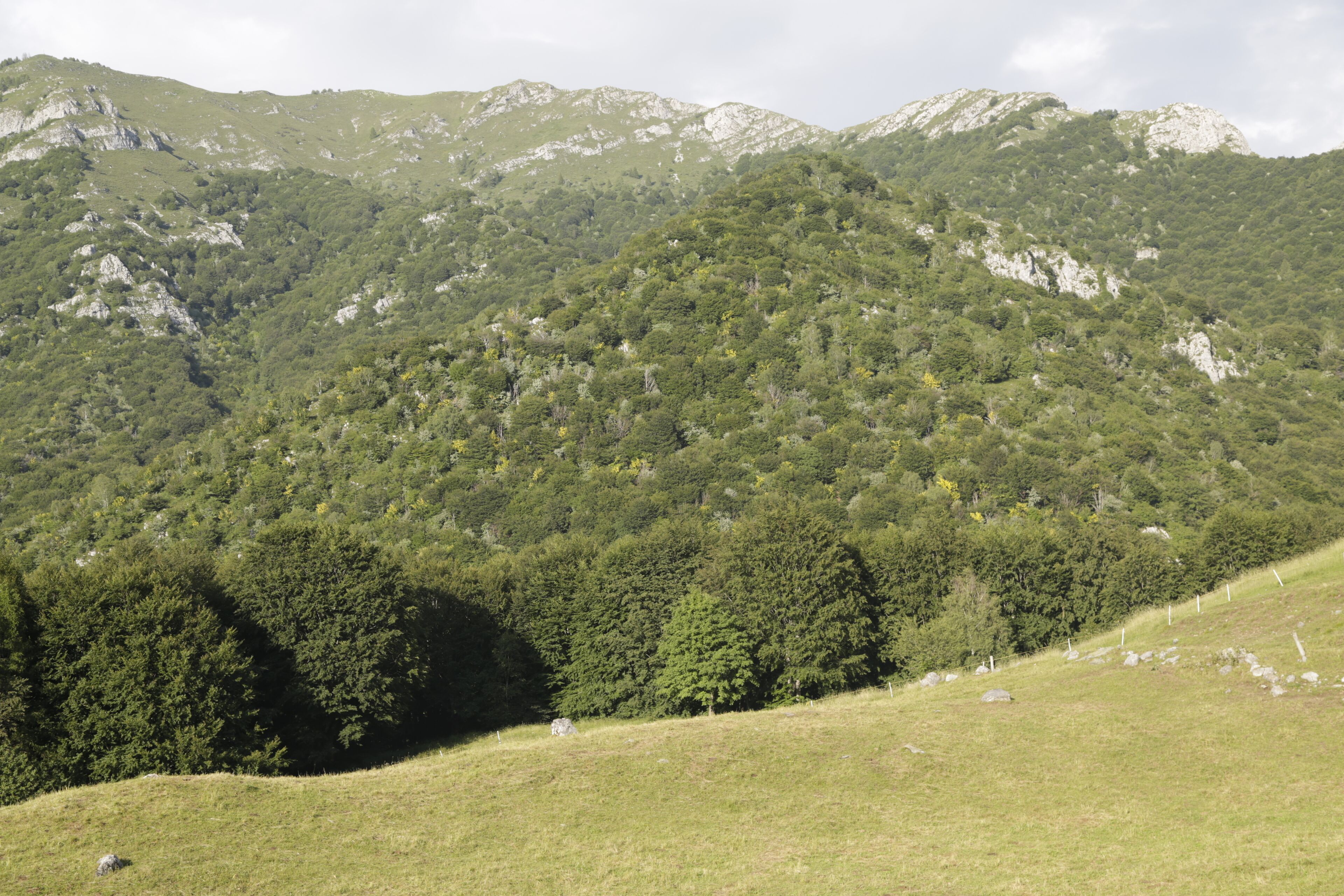 Die Alpe di Lierna befindet sich im Valle Ontragno oberhalb der Alpe die Esino.
