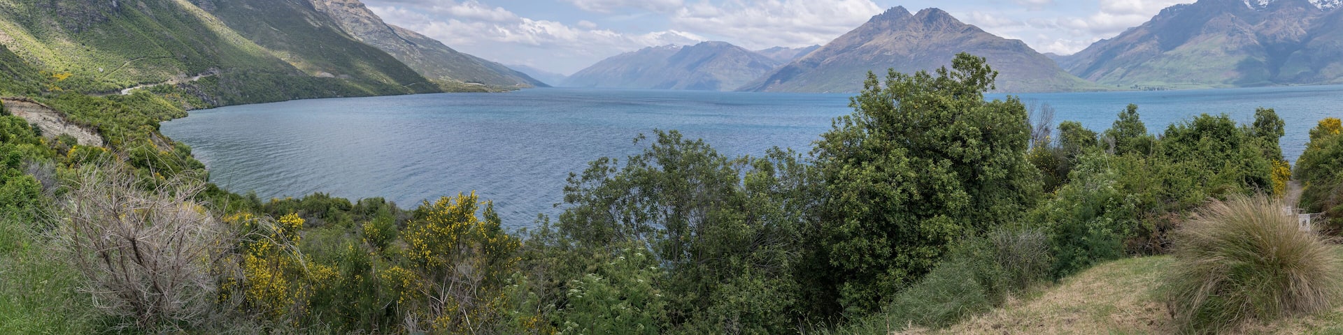 southern part of Wakatipu lake, from Jacks point, New Zealand
