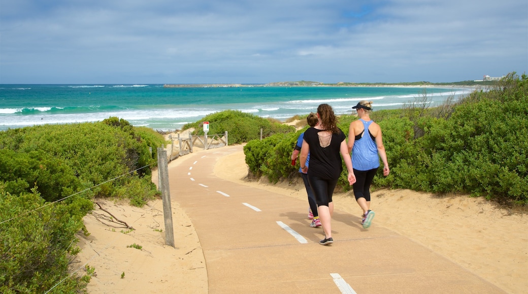 Great Ocean Road featuring hiking or walking and general coastal views as well as a small group of people