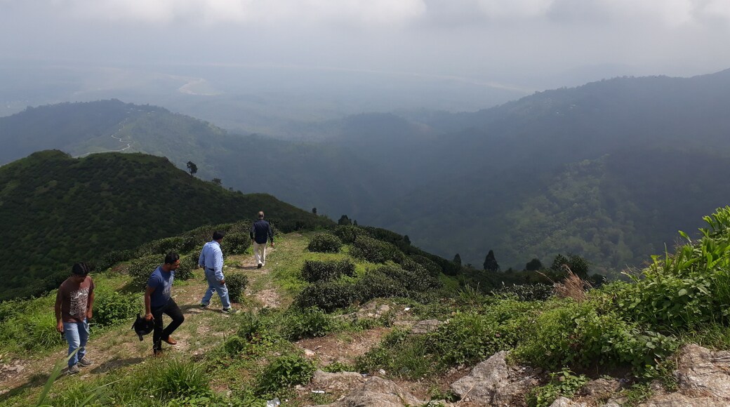 A view from this point where the Tea Gardens and the Cloud covered Hills provides a heavenly look...cool and serene....Exactly what any Tourist would like to enjoy