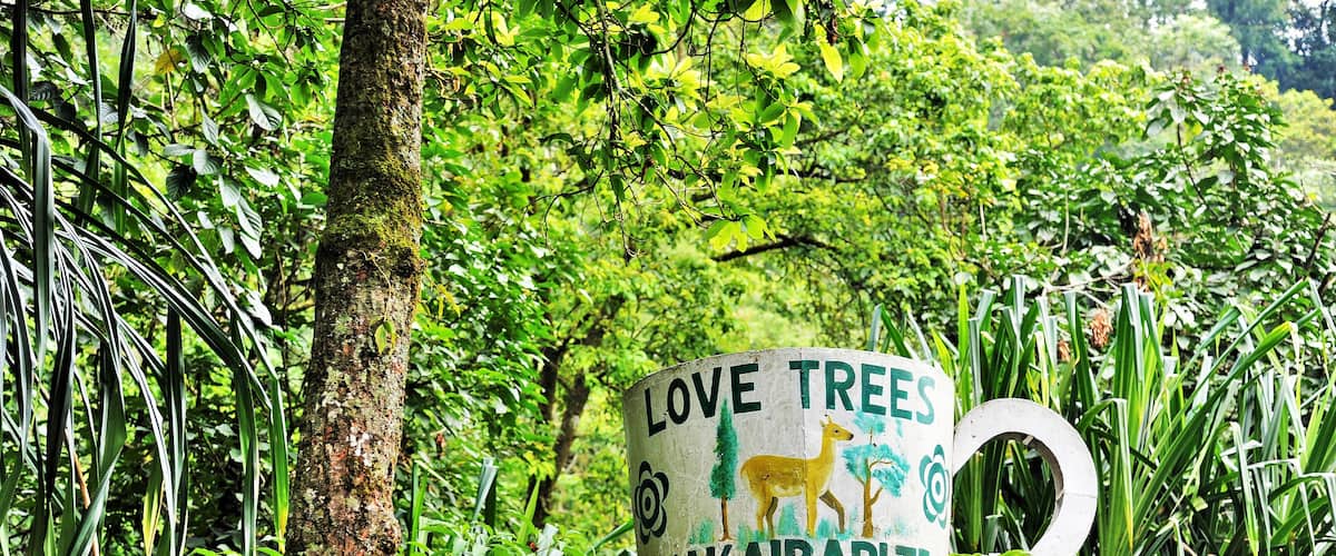 A sign with a tree and a deer illustration, surrounded by dense green foliage.