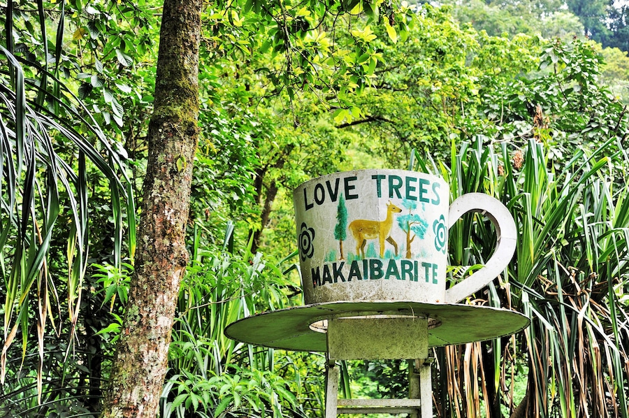 Cup and saucer sculpture, Makaibari Tea Estate, Kurseong, Darjeeling, West Bengal, India, Asia