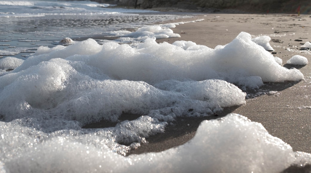 A beach with waves and foam, rocky cliffs in the background.