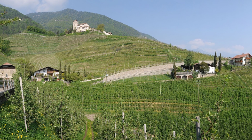 This media shows the cultural heritage monument with the number 17736 in South Tyrol.