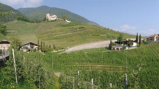 This media shows the cultural heritage monument with the number 17736 in South Tyrol.