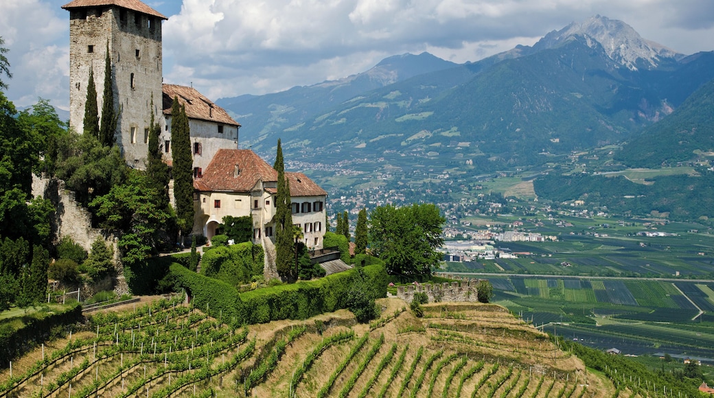 This media shows the cultural heritage monument with the number 17736 in South Tyrol.