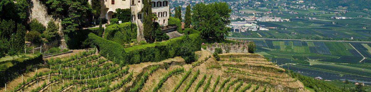This media shows the cultural heritage monument with the number 17736 in South Tyrol.