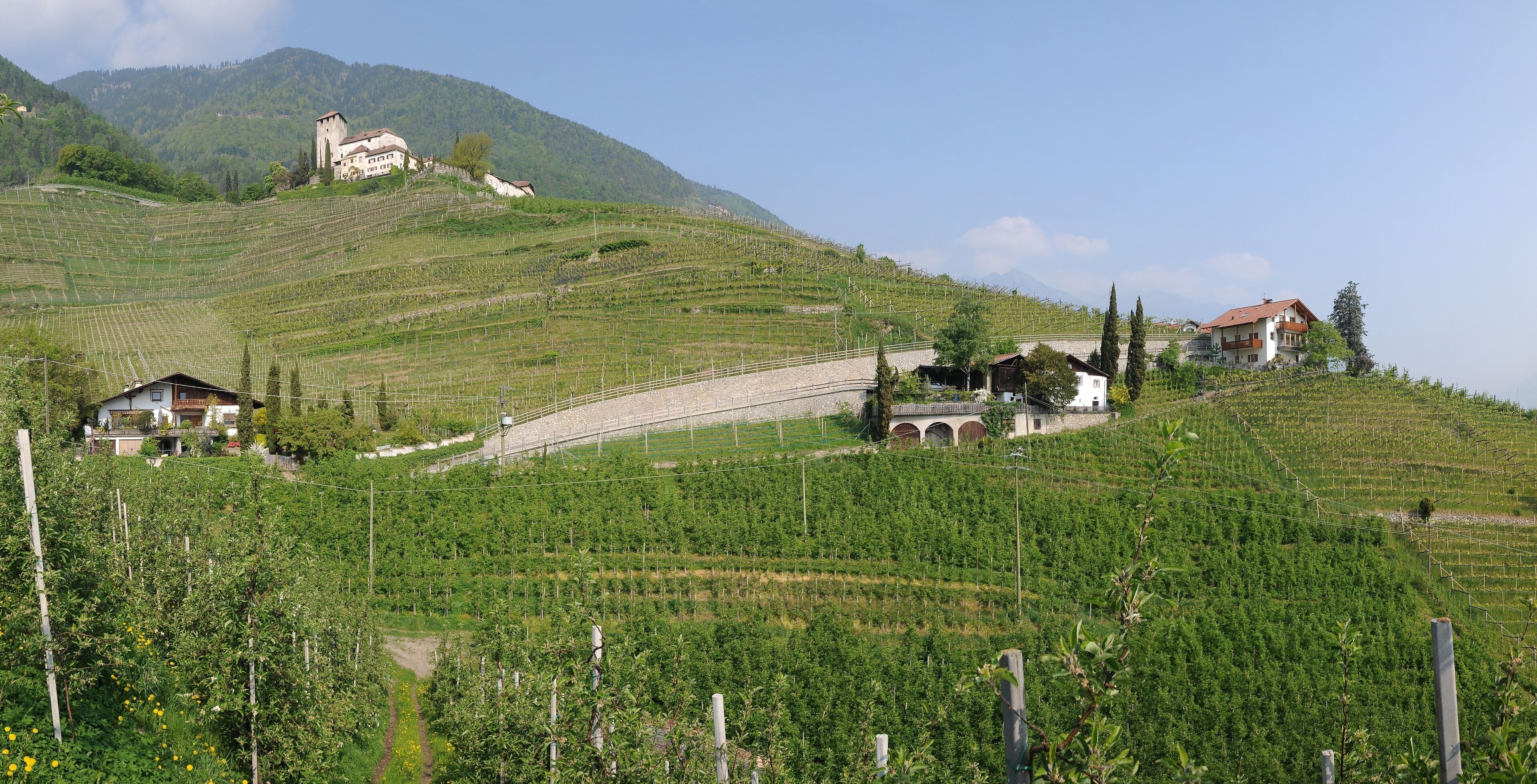This media shows the cultural heritage monument with the number 17736 in South Tyrol.