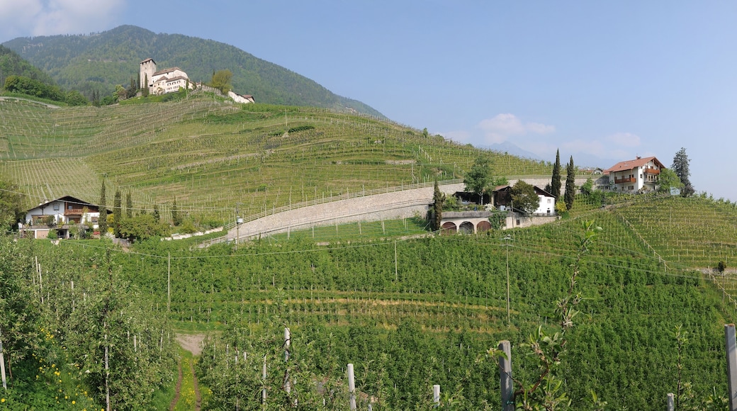 This media shows the cultural heritage monument with the number 17736 in South Tyrol.