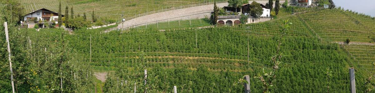 This media shows the cultural heritage monument with the number 17736 in South Tyrol.