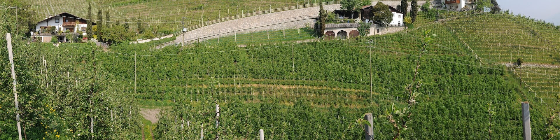 This media shows the cultural heritage monument with the number 17736 in South Tyrol.