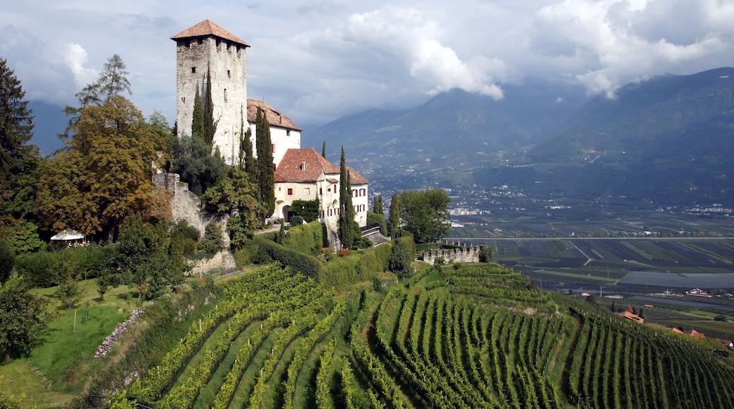 This media shows the cultural heritage monument with the number 17736 in South Tyrol.