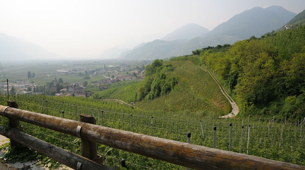 Blick von der Via Sankt Anna auf Tscherms und das Etschtal.