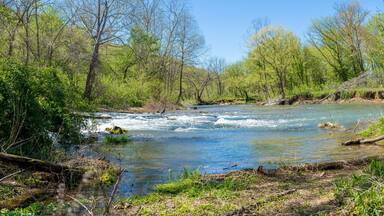 Panoramic view of Heron bird phishing, river in the forest, Lake Park Bella Vista City in Northwest Arkansas, crystal clear water creek