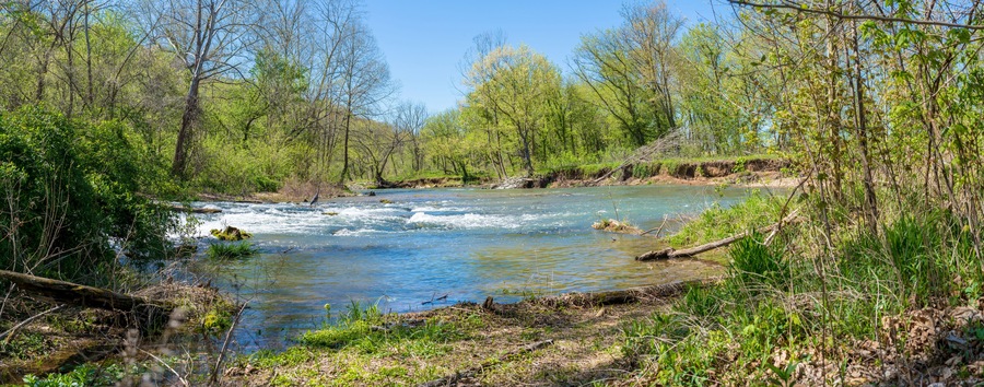 Panoramic view of Heron bird phishing, river in the forest, Lake Park Bella Vista City in Northwest Arkansas, crystal clear water creek