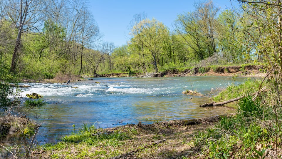 A river flowing through a forested area with trees and greenery.