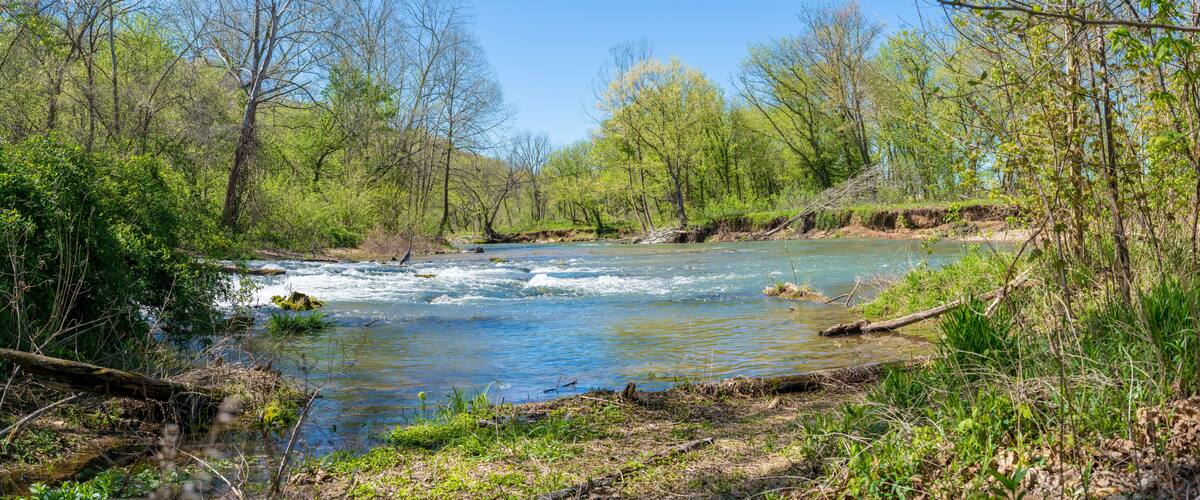 Panoramic view of Heron bird phishing, river in the forest, Lake Park Bella Vista City in Northwest Arkansas, crystal clear water creek