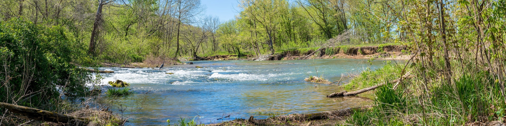 A river flowing through a forested area with trees and greenery.
