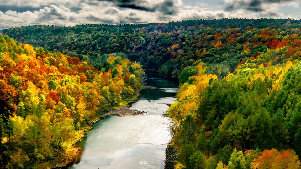 A river winding through a forest with autumn foliage.