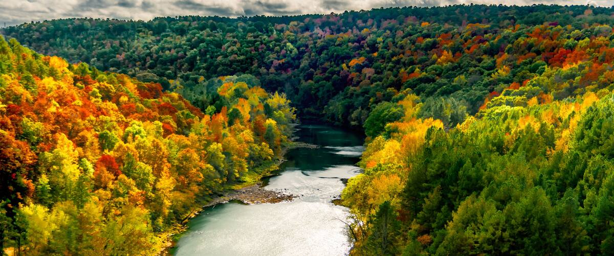 A river winding through a forest with autumn foliage.