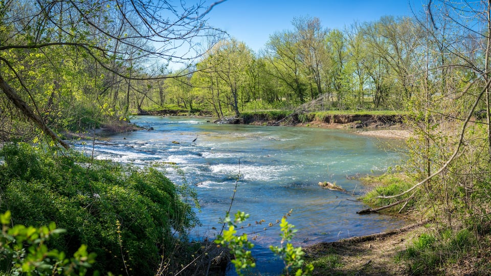 A river flowing through a forested area with dense greenery and trees.