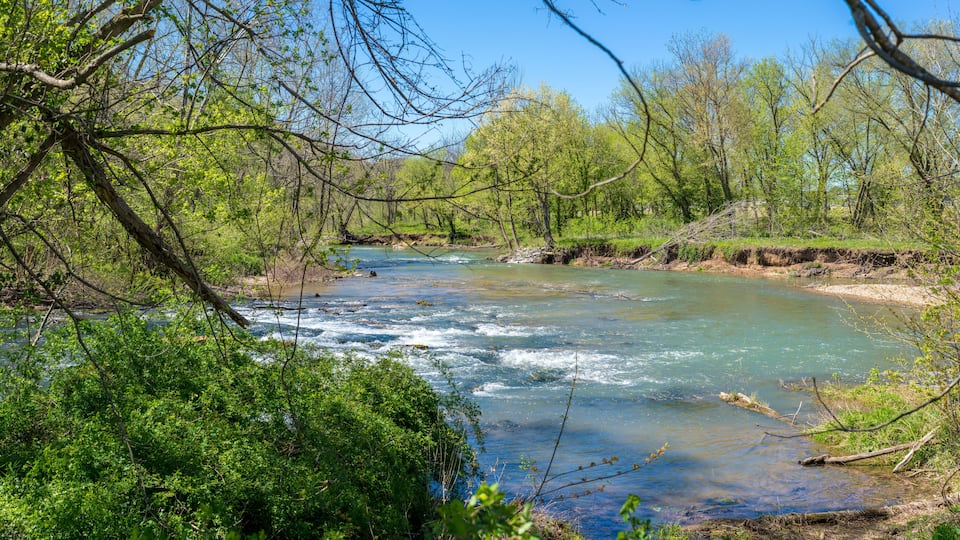 A river flowing through a forested area with clear water and surrounding greenery.