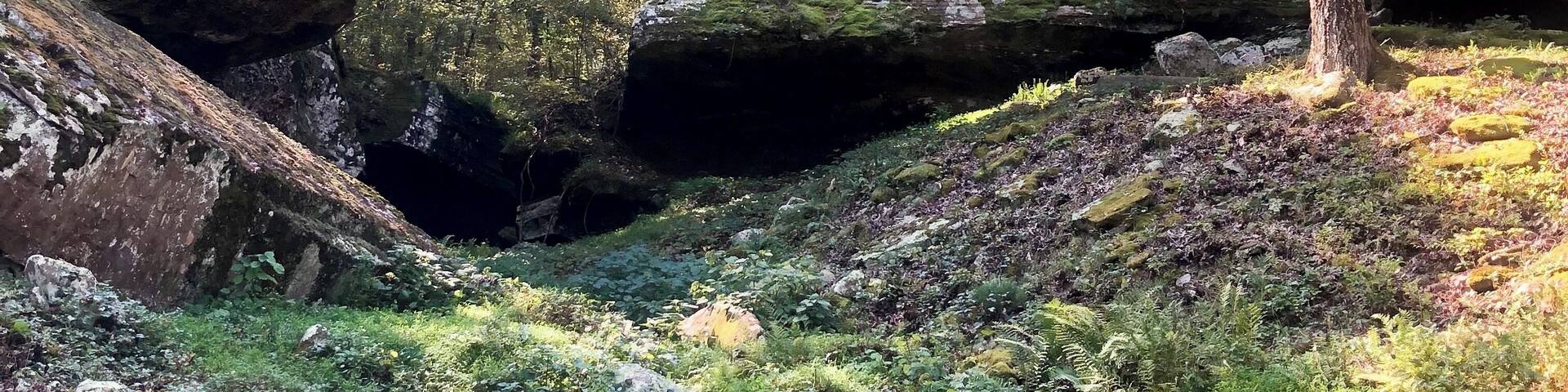 Natural Bridge of Arkansas near Clinton #arkansas #nature #ozarks