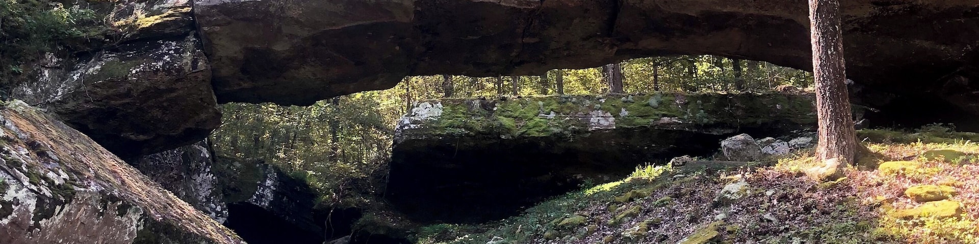 Natural Bridge of Arkansas near Clinton #arkansas #nature #ozarks