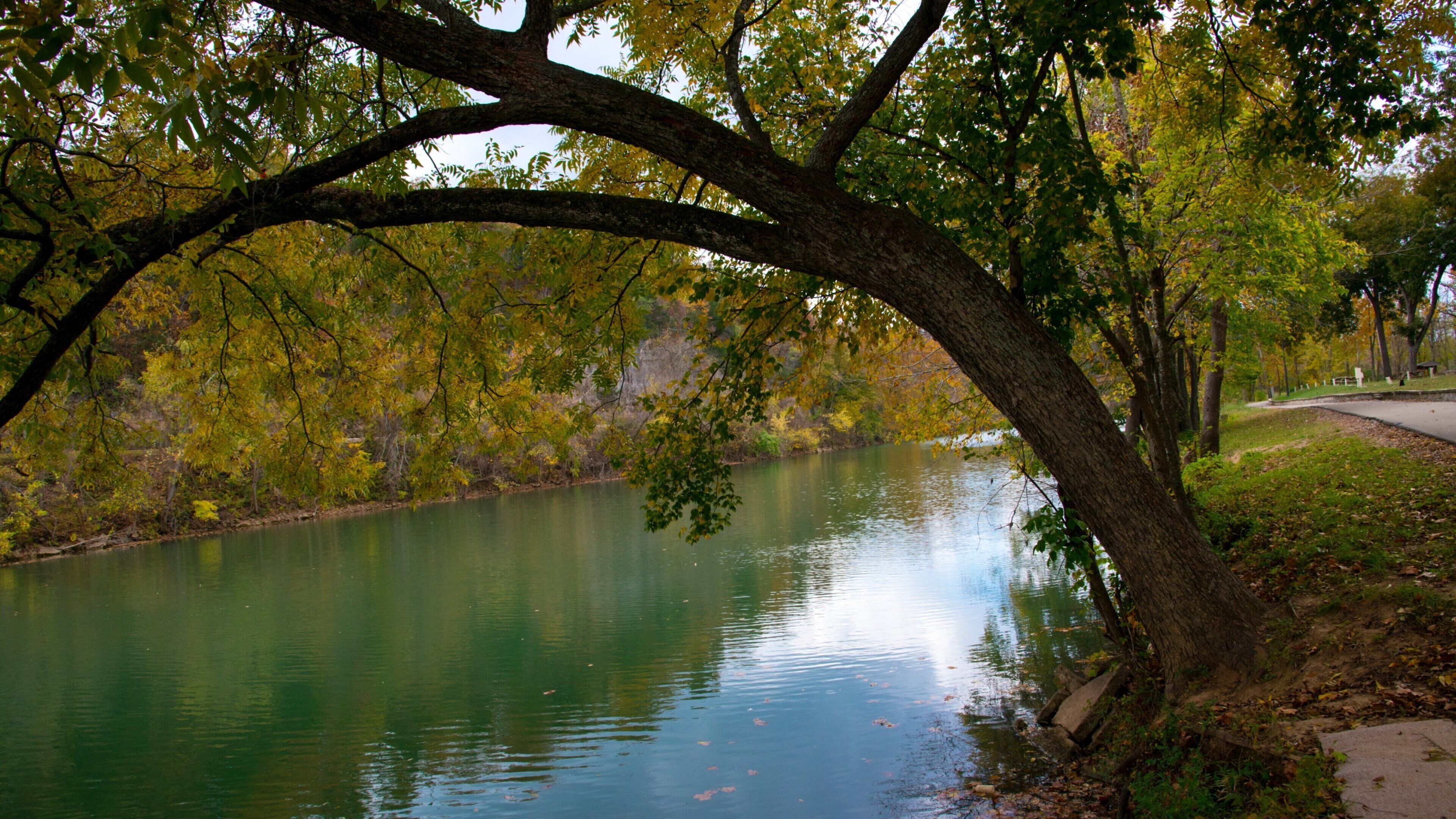 Hardy which includes a river or creek
