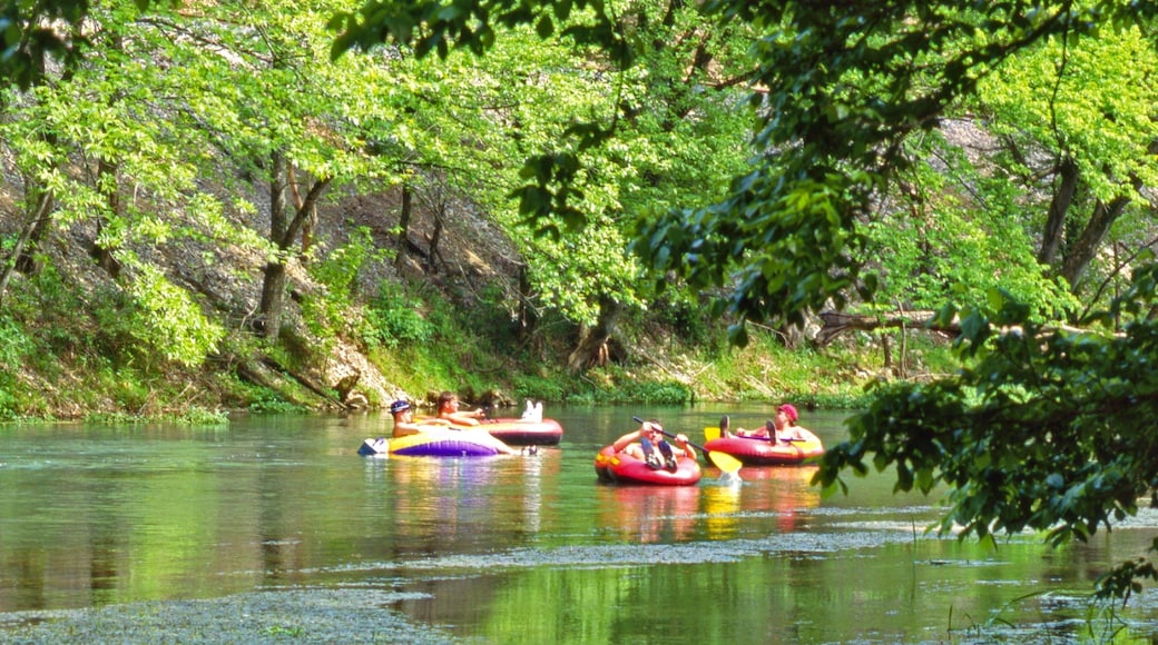 Hardy som inkluderer elv eller bekk og rafting