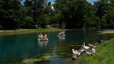Mammoth Spring montrant vie des oiseaux et lac ou étang aussi bien que couple
