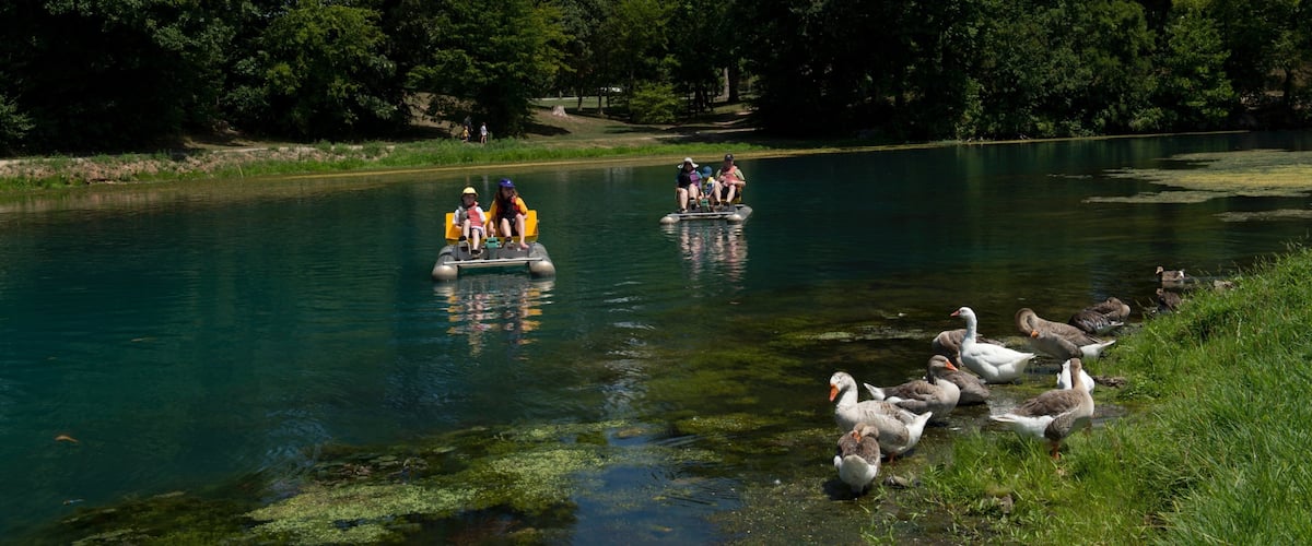 A river with people on inflatable rafts and ducks on the bank.