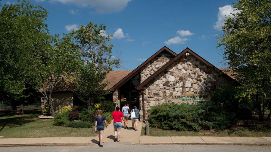 Mammoth Spring 以及 一小群人