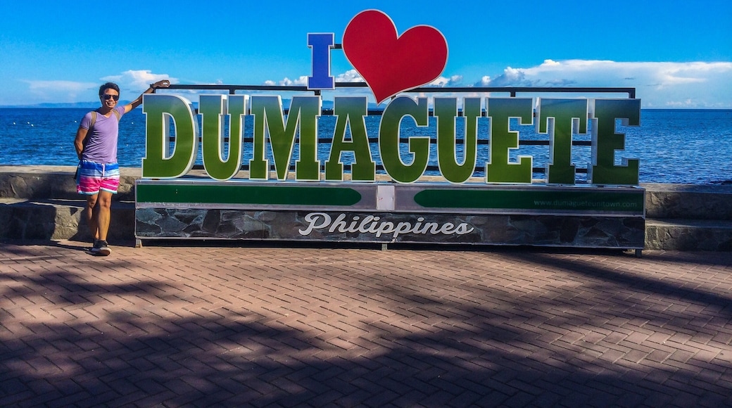 cheap but delicious food! thumbs up. sans rival restaurant is highly recommended, with their tasty seafood pasta and a wide choice of desserts., butter and chocolate silvanas are perfect pasalubongs!