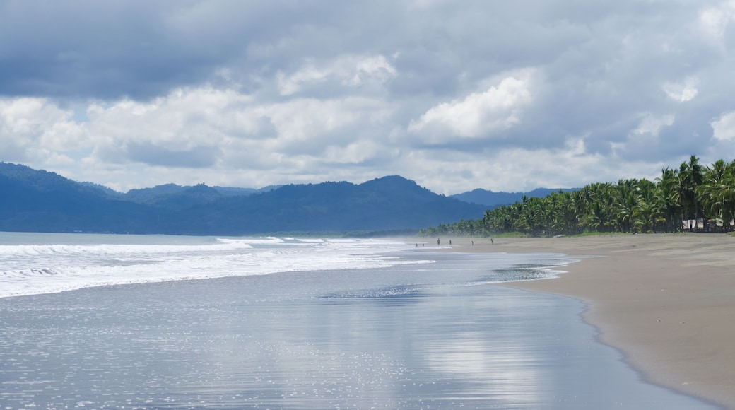 Views, Beaches and Landscapes of Apo Island and Camiguin Island, also Dumaguete, The Philippines.