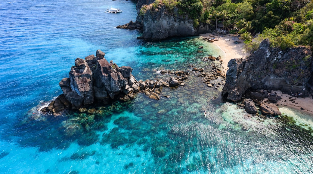 Aerial view of the coast, Apo island, Dumaguete, Philippines