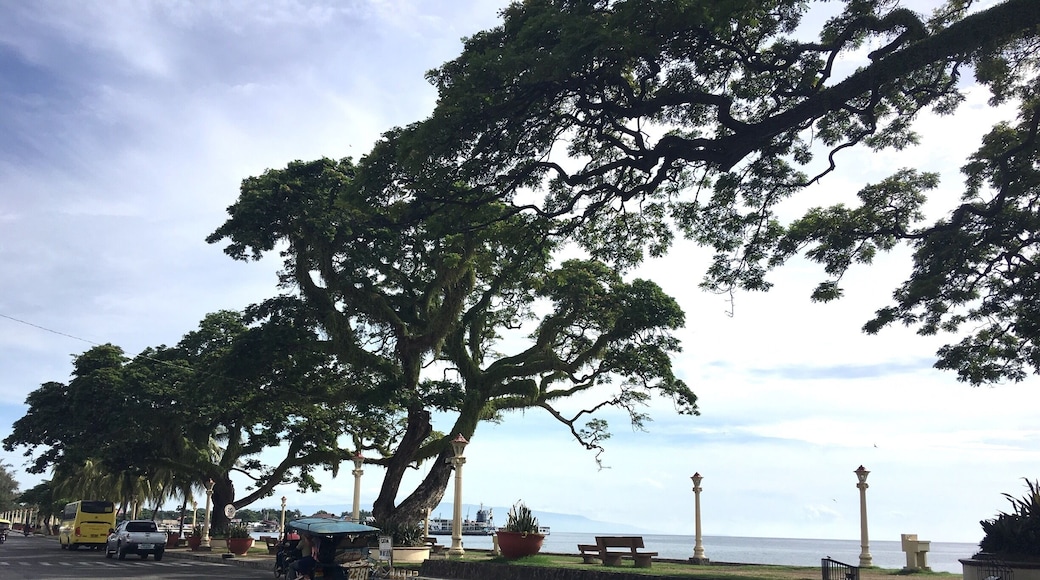 Dumaguete has this very nice stretch of baywalk where people can relax. It is such a calming experience just to sit down in one of its chairs. #travelokaph #travelokaphnegrosislands #traveltheworld