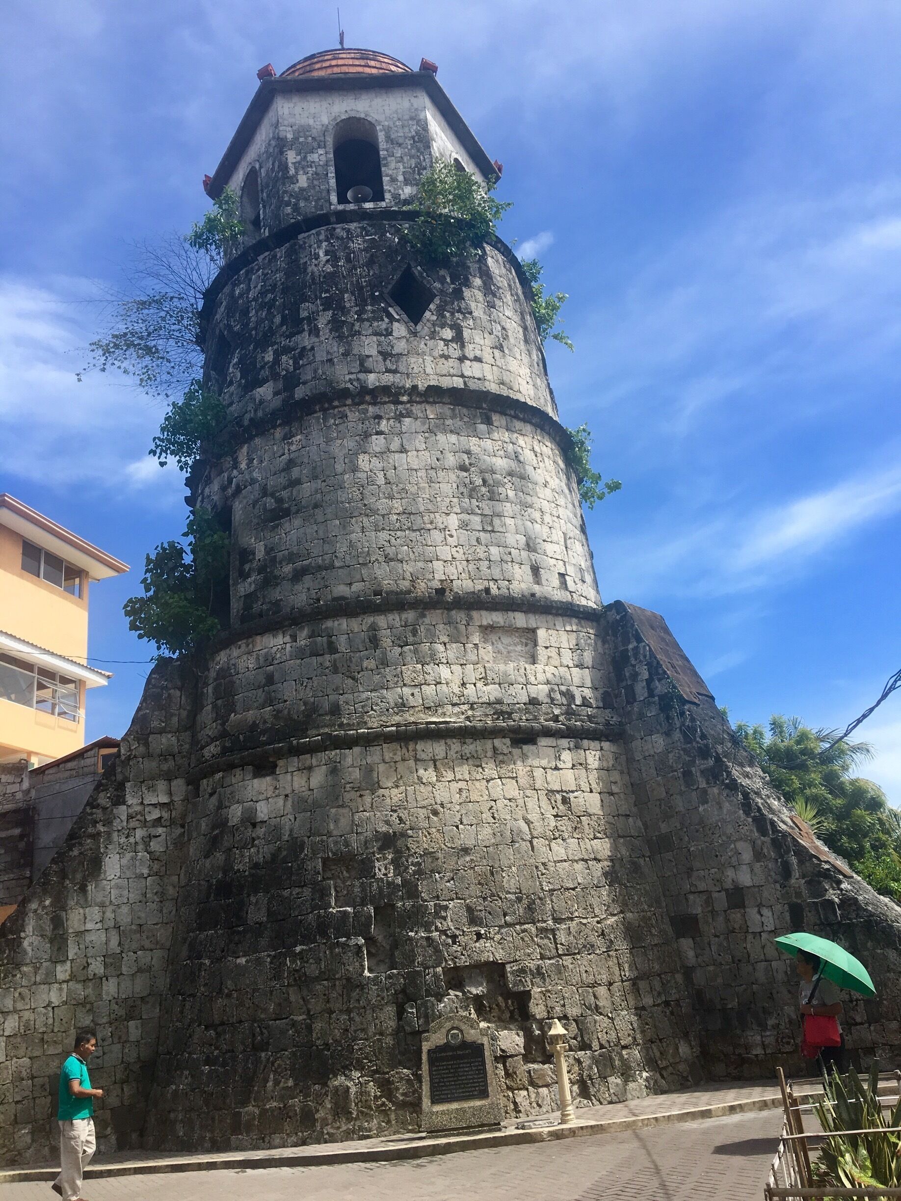 #travelokaph #travelokaphnegrosisland #traveltheworld