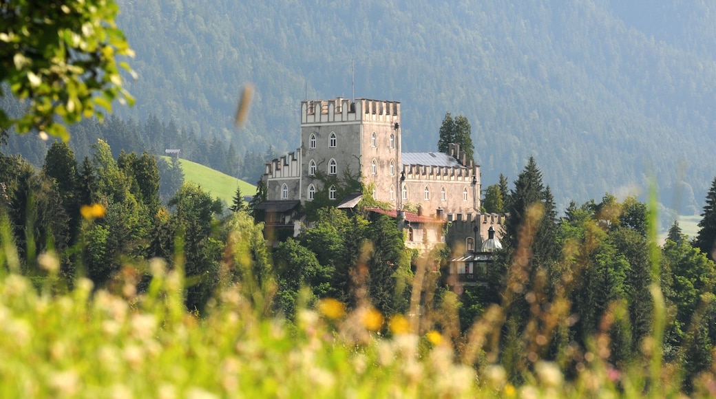 Itter showing tranquil scenes, heritage architecture and château or palace