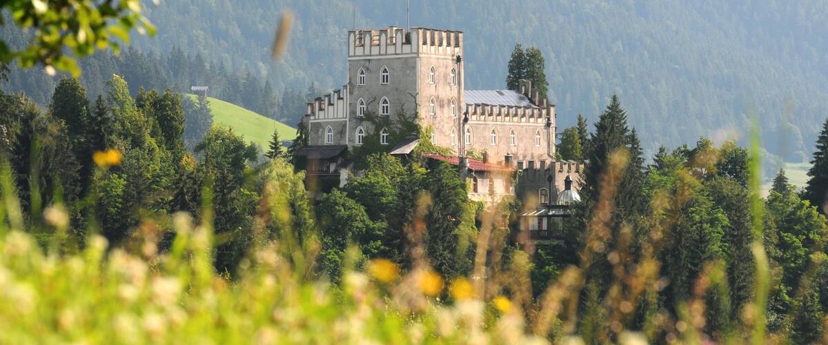 A castle surrounded by lush greenery and mountains.