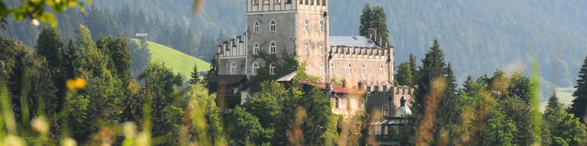 A castle surrounded by lush greenery and mountains.