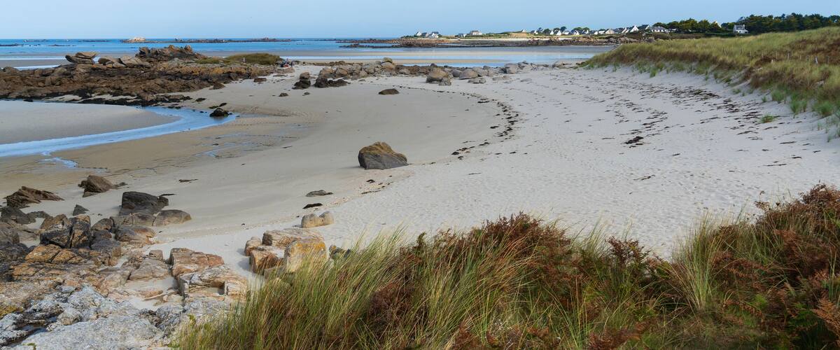 A sandy beach with scattered rocks and grass.