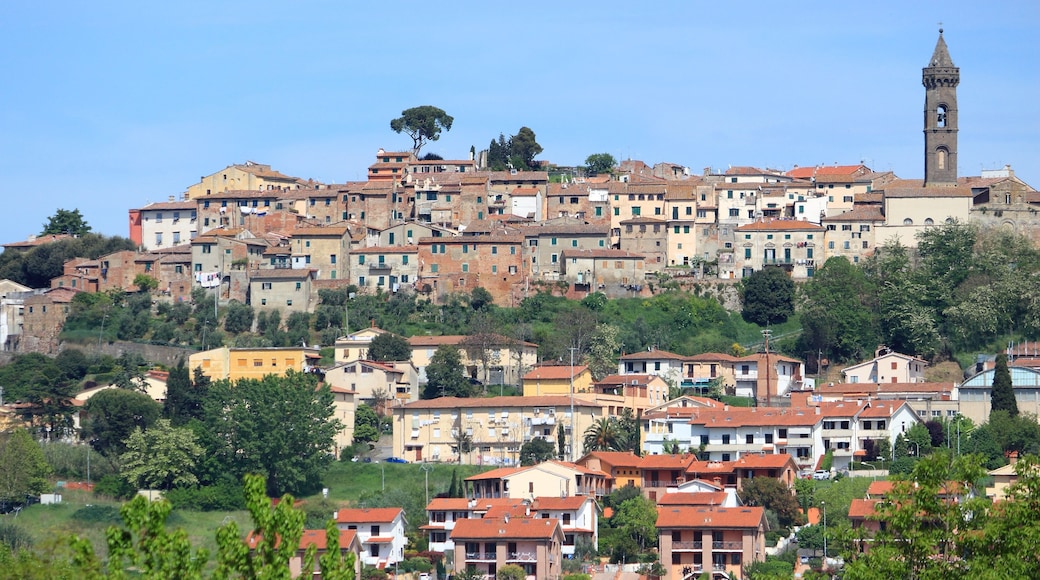 Une ville pittoresque située sur une colline, avec des bâtiments historiques, un clocher d’église imposant et une végétation luxuriante.