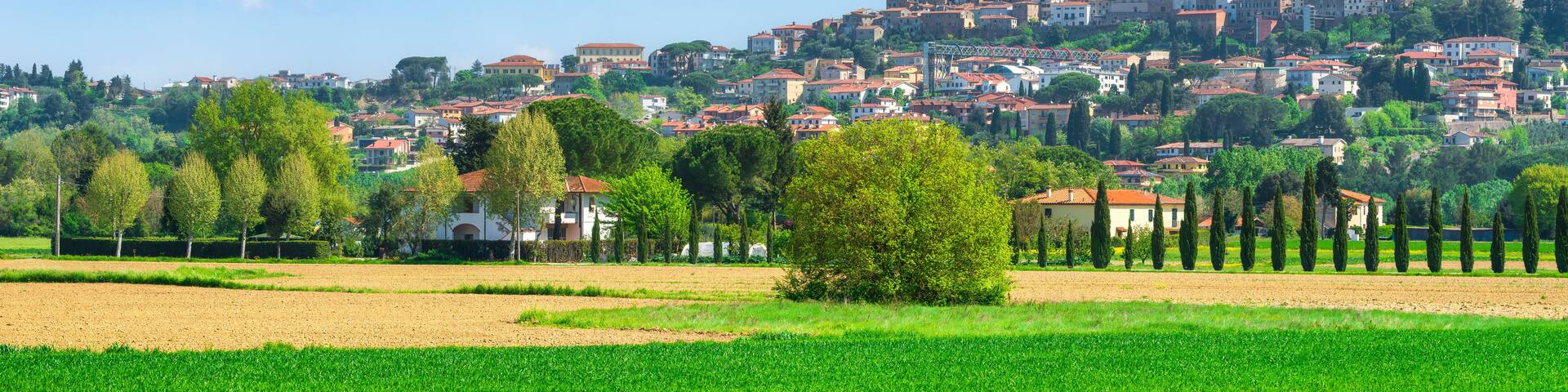 Spring View of Peccioli Village and Wheat Field, Tuscany