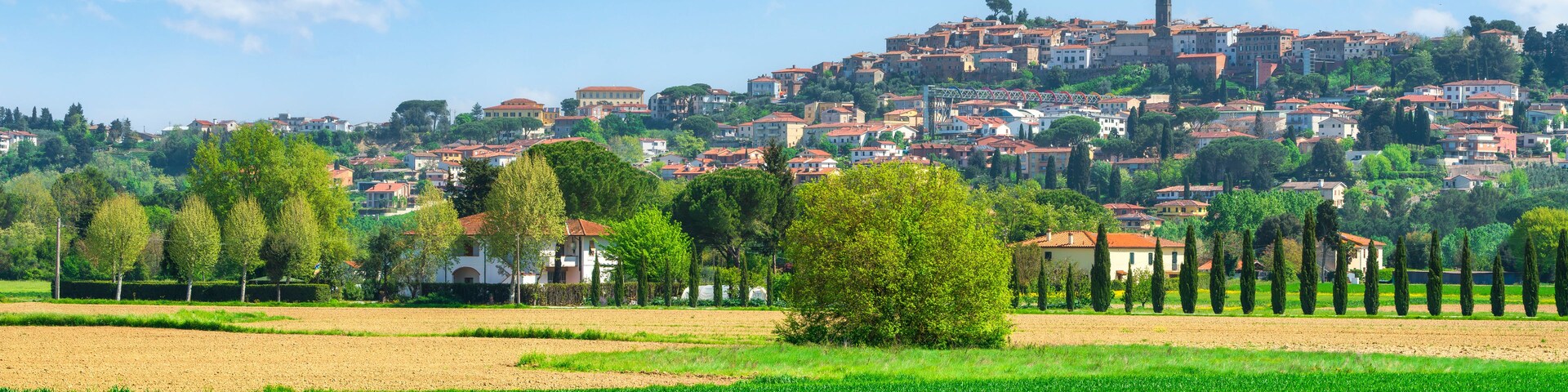 Spring View of Peccioli Village and Wheat Field, Tuscany