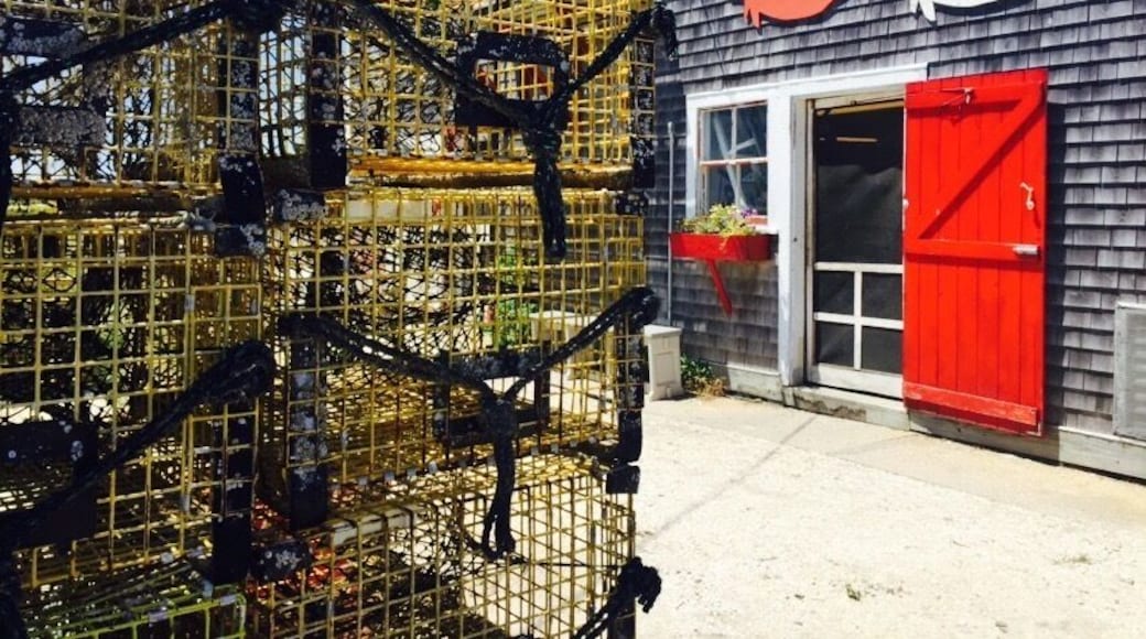 In the fishing village of Menemsha in Marthas Vineyard. Delicious lobster rolls, clam chowder, lobster bisque etc. they'll boil your fresh lobster for you if you don't want to do it yourself. Some benches outside if you want to 'eat in' but best bet is to take your food down to the beach for a picnic.