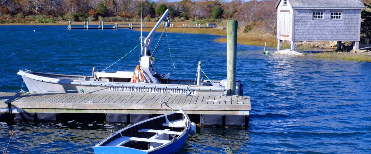 A dock with boats, a small wooden structure, and a forested shoreline.