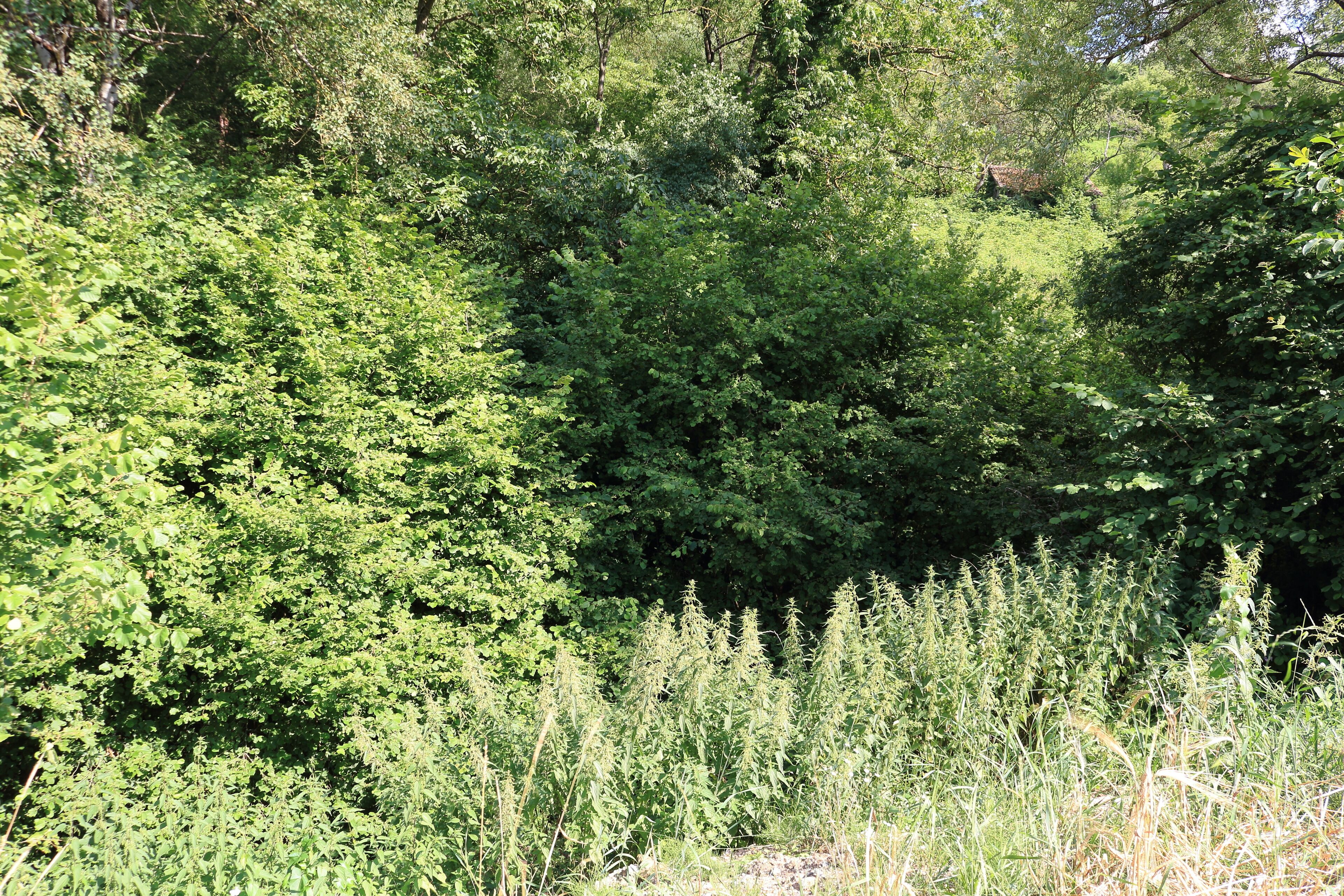FND (Flächiges Naturdenkmal) "Halbtrockenrasen Heidäcker" mit der Kennung 81250010001 südlich von Vohenlohe in der Gemeinde Abstatt