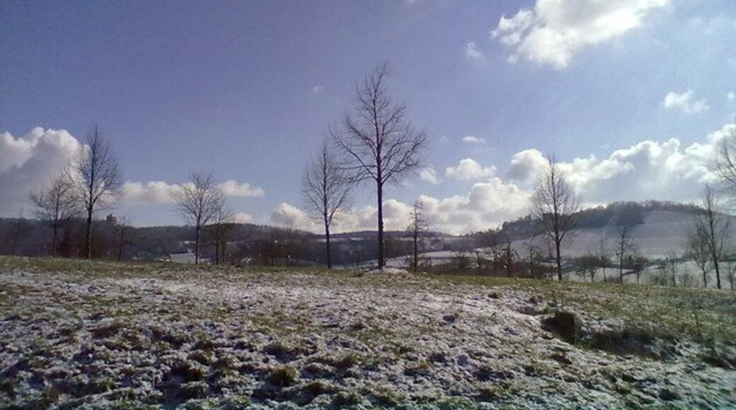 Blick vom Parkplatz der Besenwirtschaft "Blockhaus"